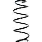 Spidan | Fahrwerksfeder | 55277