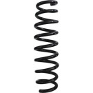 Spidan | Fahrwerksfeder | 87930