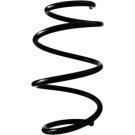Spidan | Fahrwerksfeder | 88357