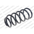 4258712 Fahrwerksfeder