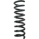 Spidan | Fahrwerksfeder | 85745