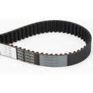 CT924 Zahnriemen CT924 Zahnriemen