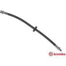 Brembo | Bremsschlauch | T 24 133