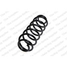 4295076 Fahrwerksfeder