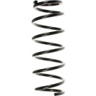 Spidan | Fahrwerksfeder | 49766