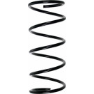 Spidan | Fahrwerksfeder | 56485