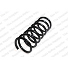 4227592 Fahrwerksfeder
