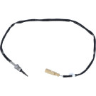 NRF | Sensor, Abgastemperatur | 707190