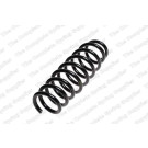 4200711 Fahrwerksfeder