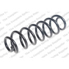 4295135 Fahrwerksfeder