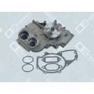 OE Germany | Wasserpumpe, Motorkühlung | 02 2000 286607
