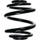 Spidan | Fahrwerksfeder | 56904