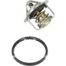 NRF | Thermostat, Kühlmittel | 725208