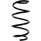 Spidan | Fahrwerksfeder | 87821