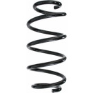 Spidan 2 x SPIDAN Fahrwerksfeder 87305