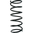 Spidan | Fahrwerksfeder | 55171