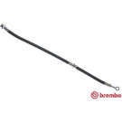 Brembo | Bremsschlauch | T 56 046