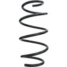 Spidan | Fahrwerksfeder | 87618