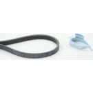 ContiTech | Keilrippenriemensatz | 4PK874 ELAST T1