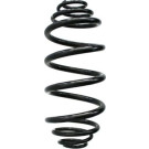 Spidan | Fahrwerksfeder | 85339