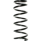 Spidan | Fahrwerksfeder | 55897