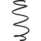 Spidan | Fahrwerksfeder | 88363