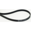 CONTITECH 4PK800 Keilrippenriemen 800mm, 4 Rippen CONTITECH 4PK800 Keilrippenriemen 800mm, 4 Rippen