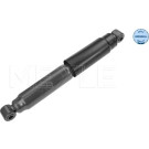 Meyle | Stoßdämpfer | 226 725 0012