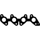 423609P Dichtung, Ansaugkrümmer