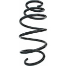 Spidan | Fahrwerksfeder | 87684