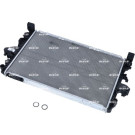 NRF | Kühler, Motorkühlung | 53795