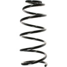 Spidan | Fahrwerksfeder | 48522