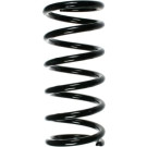 Spidan | Fahrwerksfeder | 55762