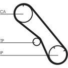 CT1153 Zahnriemen CT1153 Zahnriemen