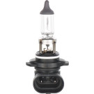 BOSCH | Glühlampe, Nebelscheinwerfer | 1 987 302 083
