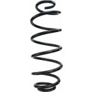 Spidan | Fahrwerksfeder | 87610