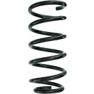 Spidan | Fahrwerksfeder | 87192