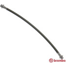 Brembo | Bremsschlauch | T 56 183