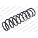 4259250 Fahrwerksfeder