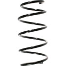 Spidan | Fahrwerksfeder | 49319