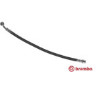 Brembo | Bremsschlauch | T 24 123