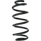 Spidan | Fahrwerksfeder | 88920