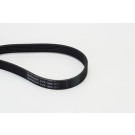 ContiTech | Keilrippenriemen | 6PK1605
