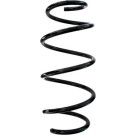 Spidan | Fahrwerksfeder | 87812
