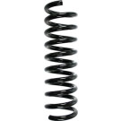 Spidan | Fahrwerksfeder | 85203