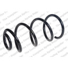 4262082 Fahrwerksfeder