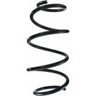 Spidan | Fahrwerksfeder | 87290
