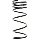 Spidan | Fahrwerksfeder | 49683