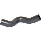 2420144 Kühlerschlauch