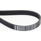 ContiTech | Keilrippenriemen | 6PK1153